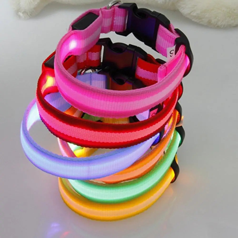 LED Safety Collar - 360° Visibility, Rechargeable & Waterproof