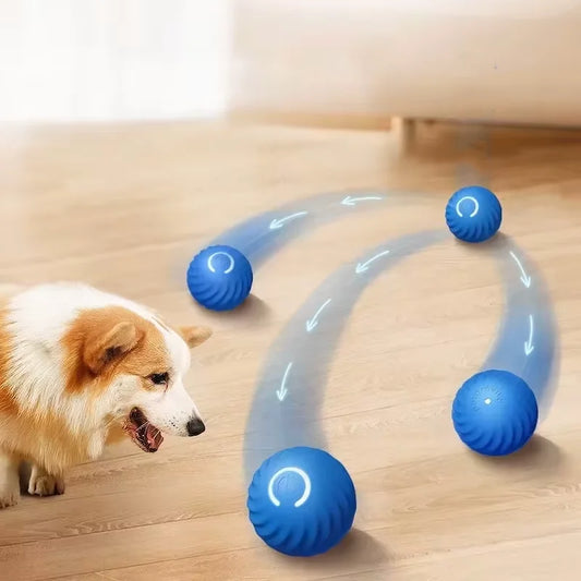 Interactive Gravity Ball for Pets™