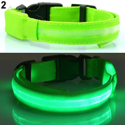 LED Safety Collar - 360° Visibility, Rechargeable & Waterproof