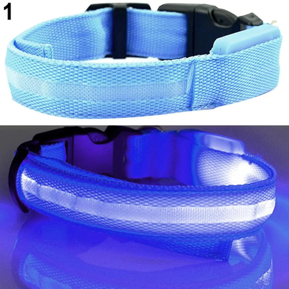 LED Safety Collar - 360° Visibility, Rechargeable & Waterproof