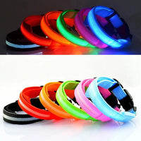 LED Safety Collar - 360° Visibility, Rechargeable & Waterproof