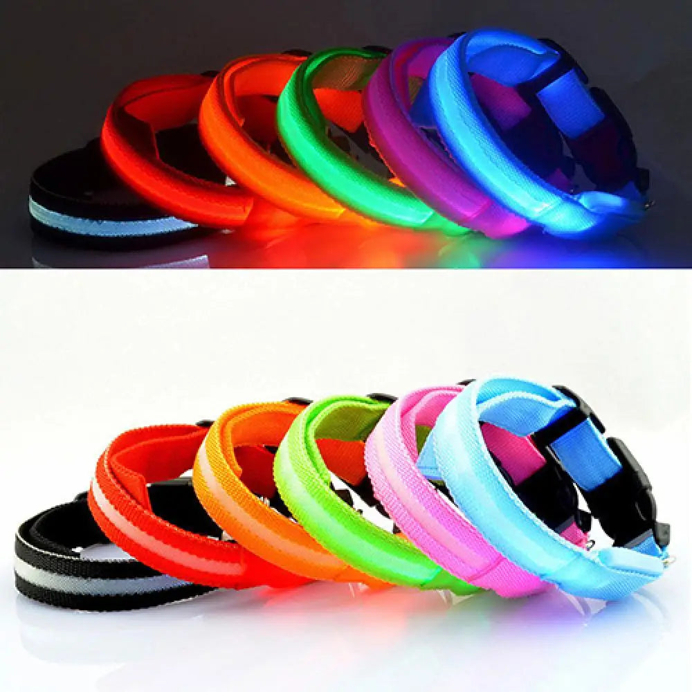 LED Safety Collar - 360° Visibility, Rechargeable & Waterproof