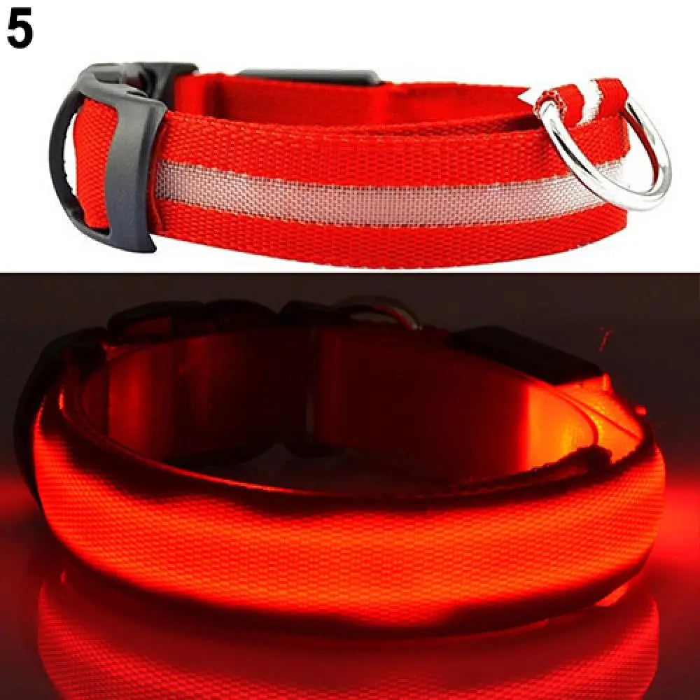 LED Safety Collar - 360° Visibility, Rechargeable & Waterproof