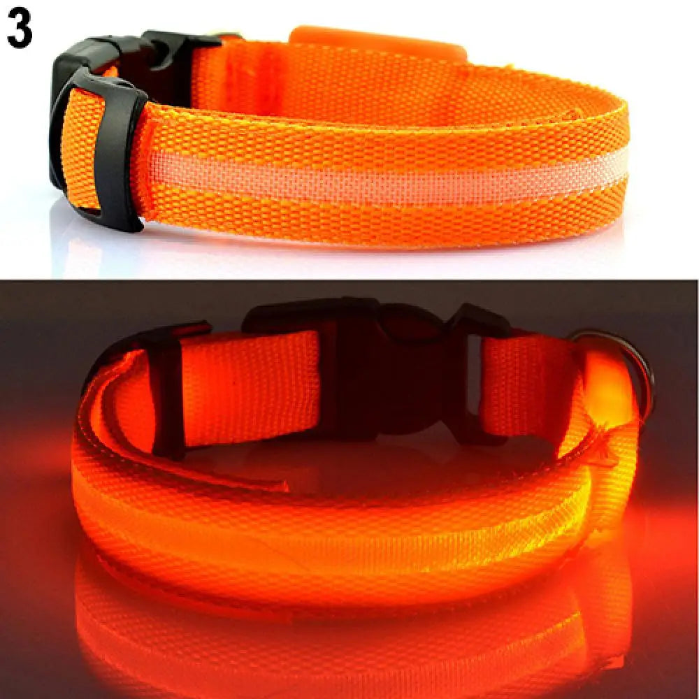 LED Safety Collar - 360° Visibility, Rechargeable & Waterproof