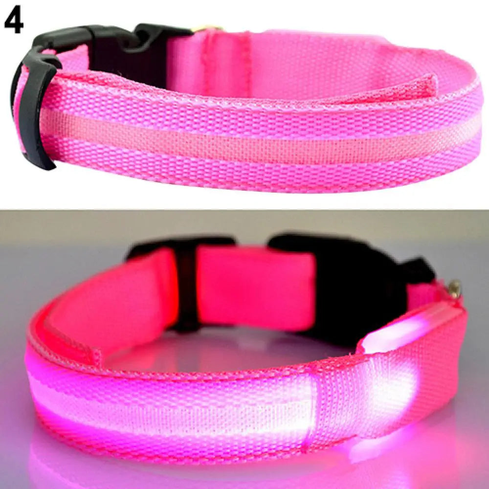 LED Safety Collar - 360° Visibility, Rechargeable & Waterproof