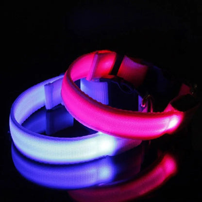 LED Safety Collar - 360° Visibility, Rechargeable & Waterproof