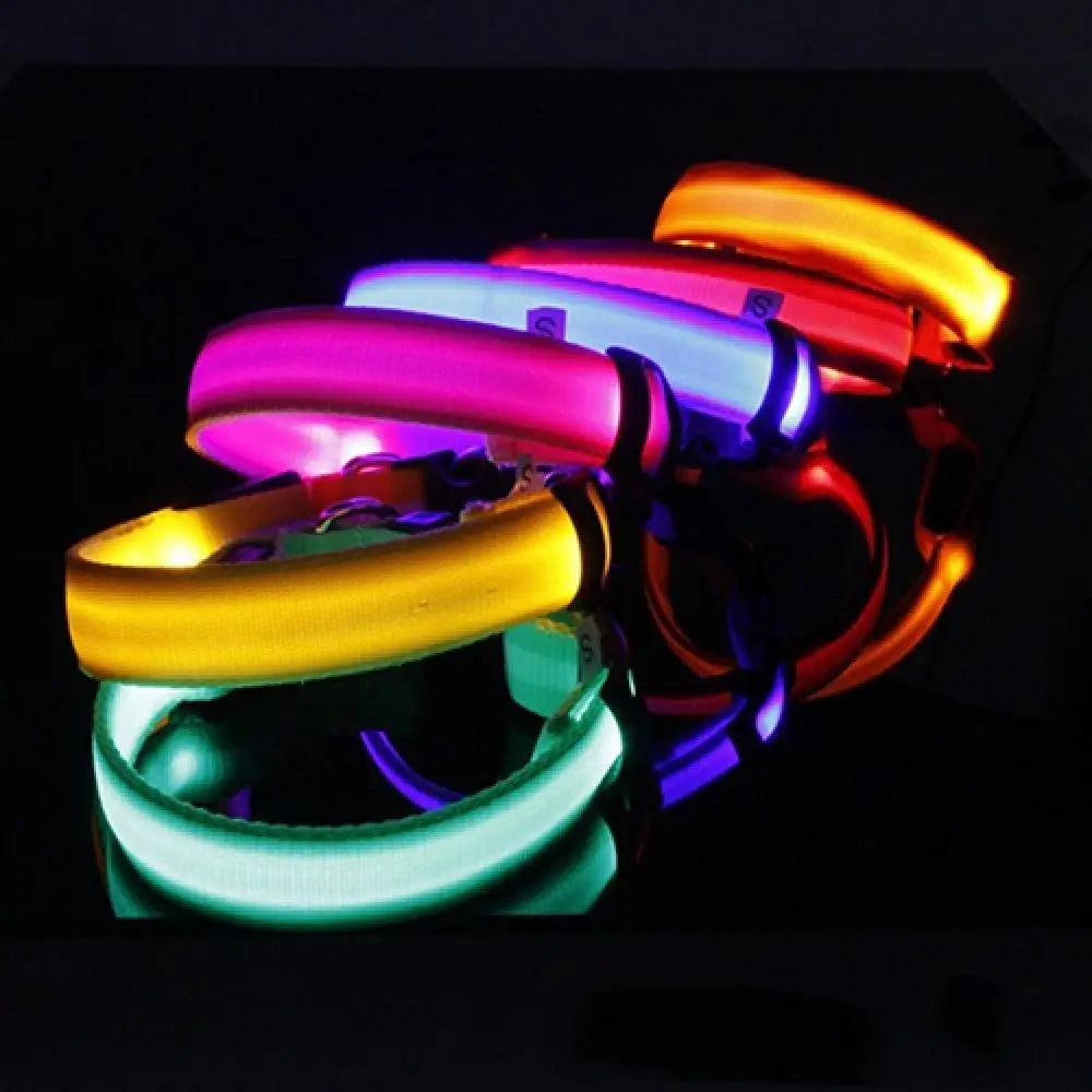 LED Safety Collar - 360° Visibility, Rechargeable & Waterproof