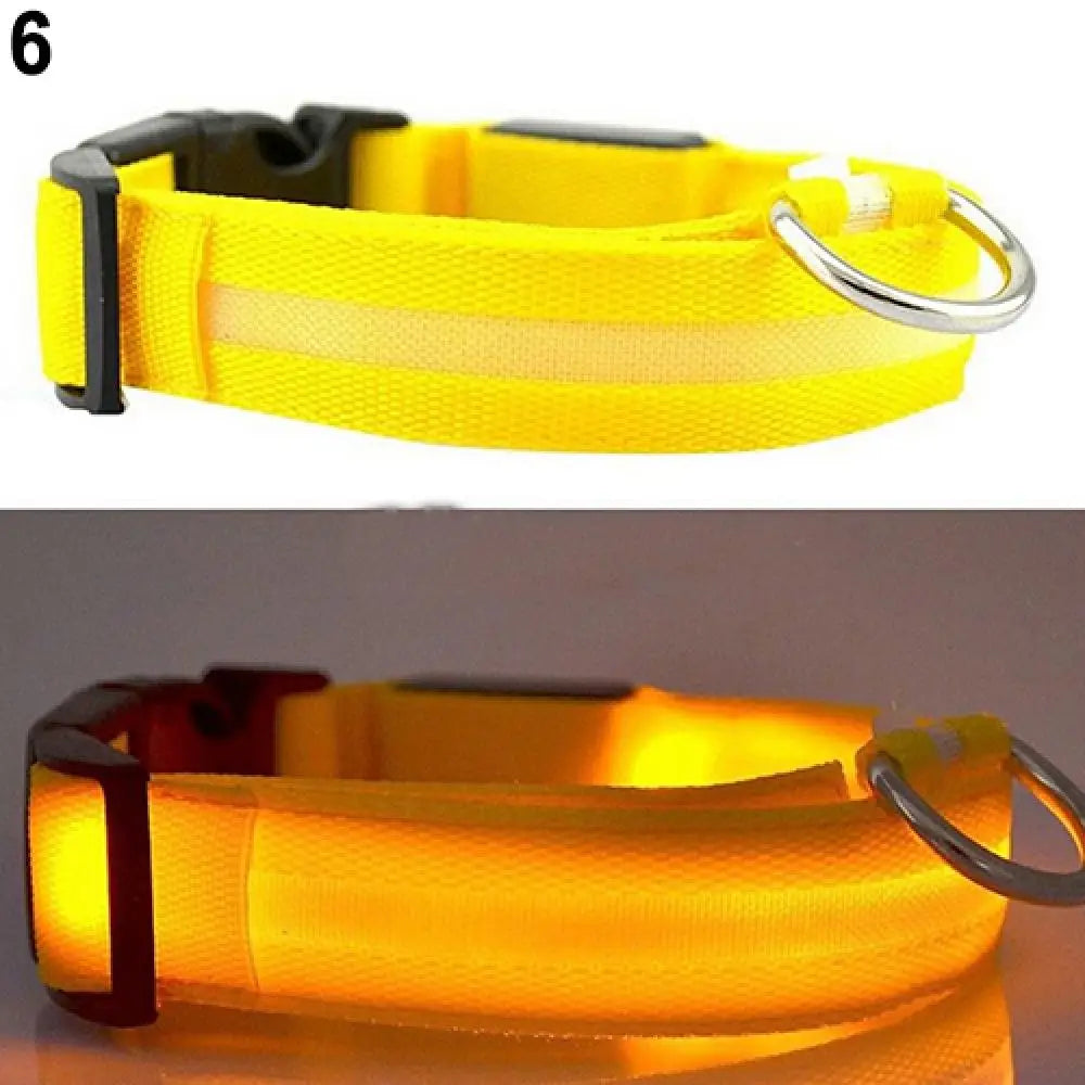 LED Safety Collar - 360° Visibility, Rechargeable & Waterproof