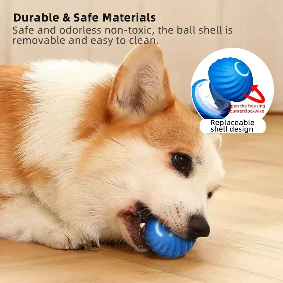 Self-Rolling Interactive Dog Ball - Auto-Play Technology