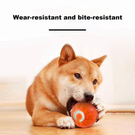 Self-Rolling Interactive Dog Ball - Auto-Play Technology