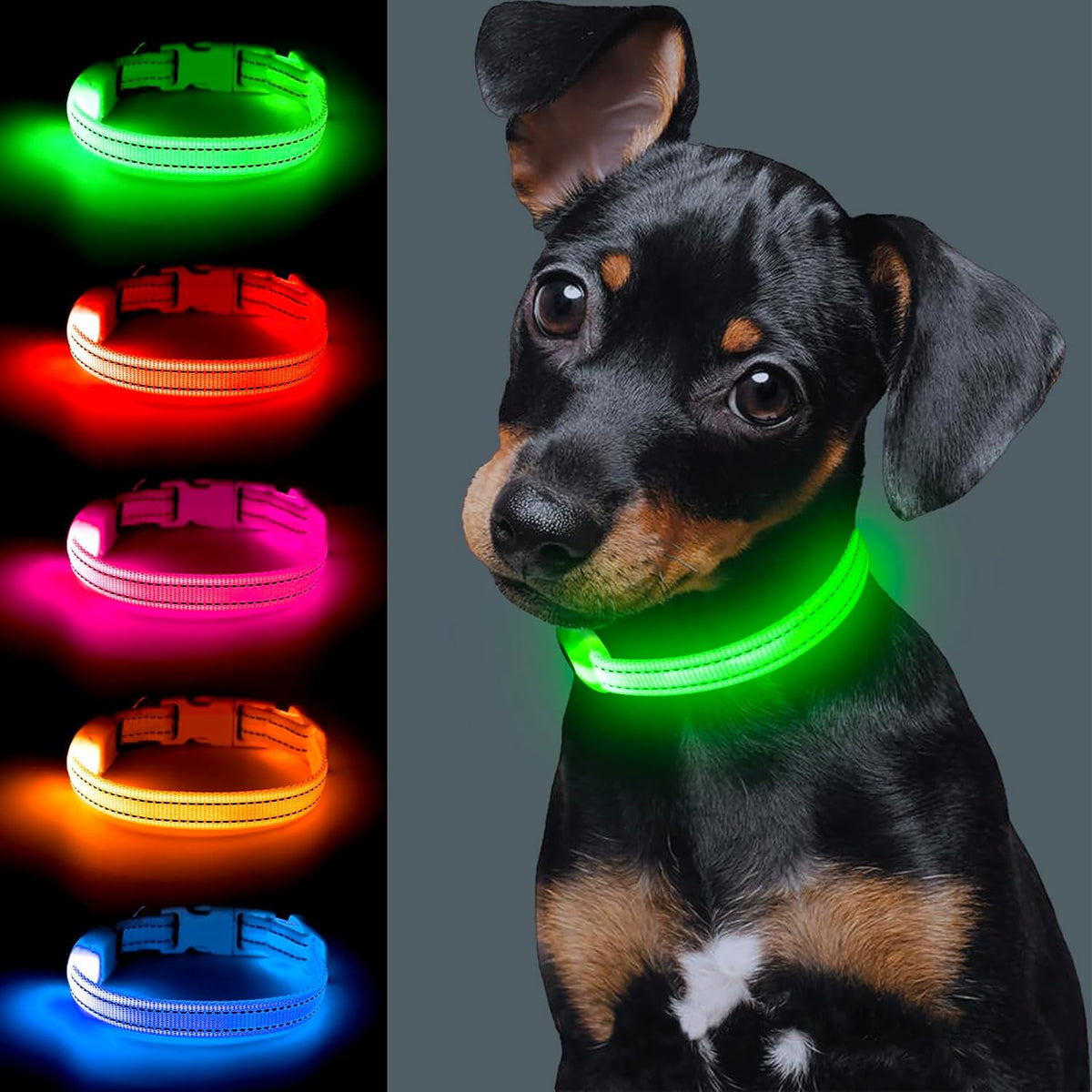 LED Safety Collar - 360° Visibility, Rechargeable & Waterproof