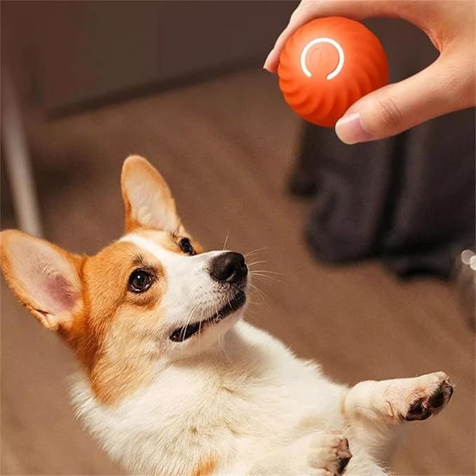 Self-Rolling Interactive Dog Ball - Auto-Play Technology
